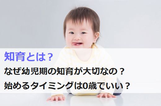 知育とは なぜ幼児期の知育が大切なの 0歳から6歳まで年齢別のポイント 注意点をドンと整理 ちいくる